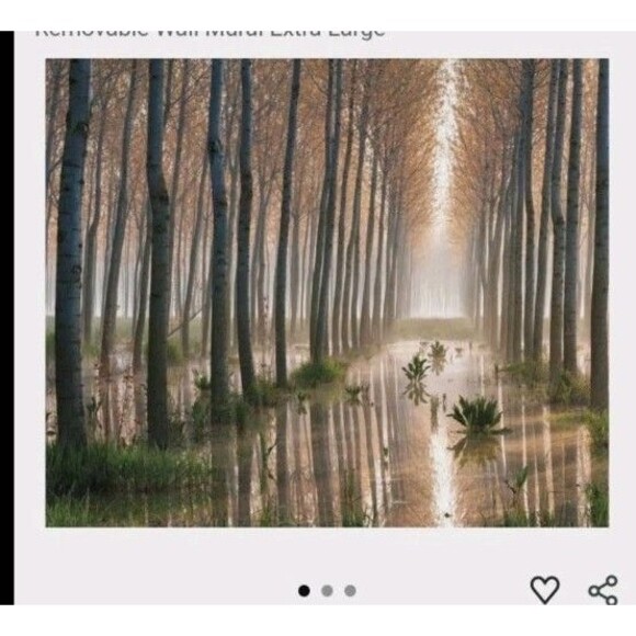 JP London Rains of Spring Forest Path Stream Trees 12ft x 8.5ft 3D Wall Mural